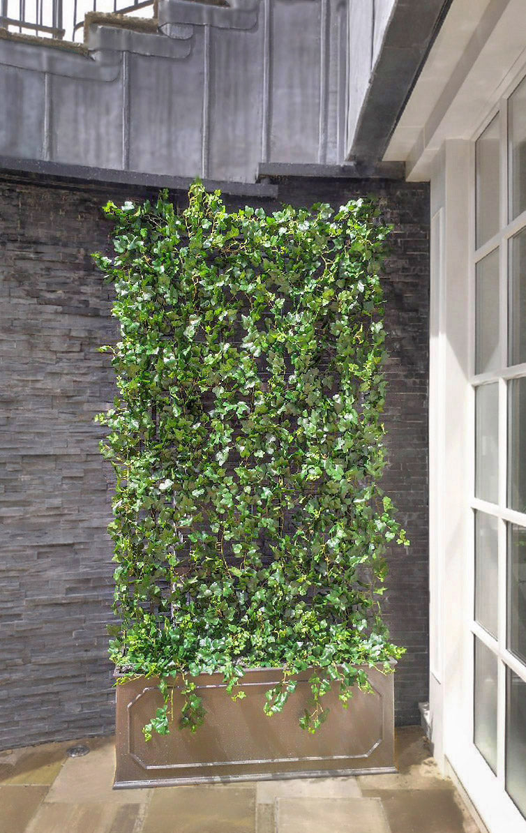 ivy plant trellis Ivy Trellis – Fragrance Plants and Flowers