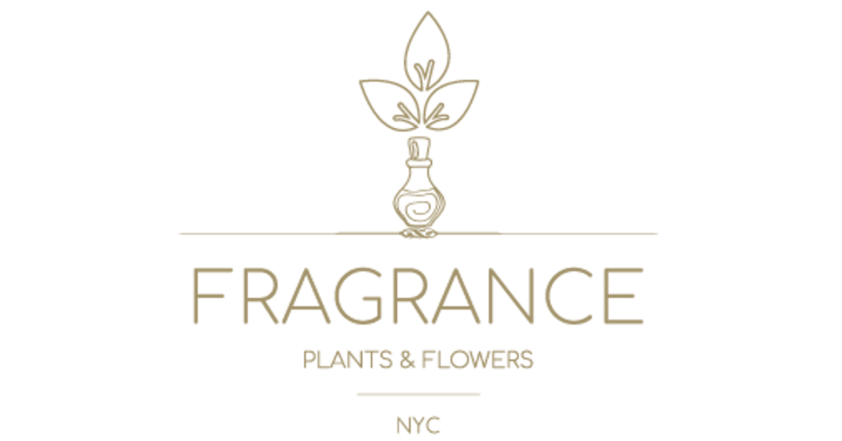 Fragrance Plants and Flowers