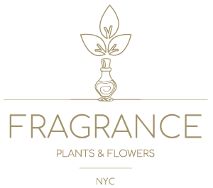 Fragrance Plants and Flowers 